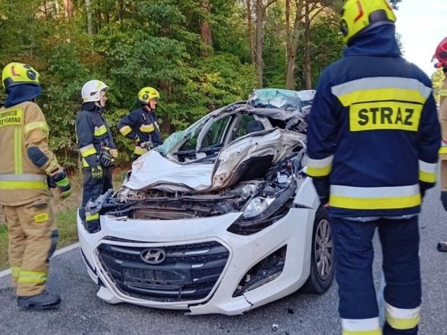 Hyundai zderzył się z łosiem, ranny kierowca trafił do szpitala