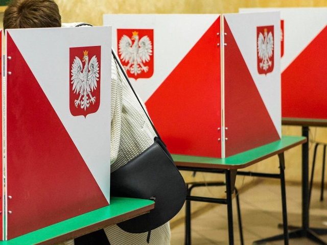 Kandydaci do sejmu i wyborcze dylematy związane z referendum