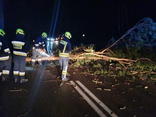 Strażacy na wysokim alarmie. 50 interwencji w regionie, ale nasz powiat oszczędzony