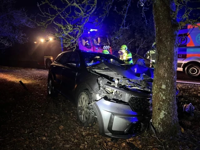 Groźny wypadek na wojewódzkiej 508. Kia Sorento kontra dzik i drzewo. Niebezpieczeństwa leśnych dróg (zdjęcia)