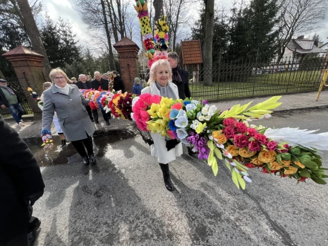 Najpiękniejsze palmy pań Bożeny, Aliny, Alicji... (zdjęcia)