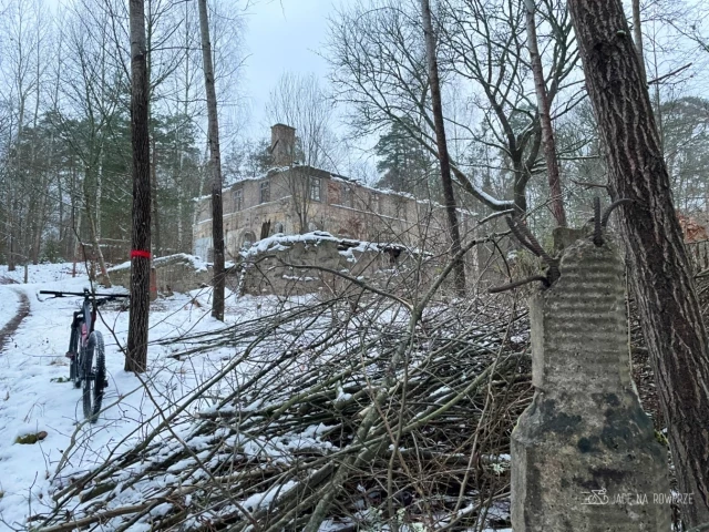 Spór o wycięte drzewa, gmina nałożyła 1,3 mln zł kary!