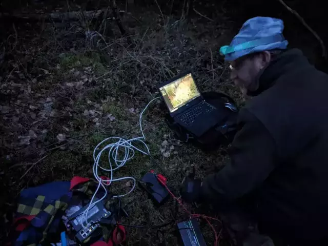 Oko w oko z rybołowem. Kamera w gnieździe otwiera okno na dziką naturę (zdjęcia)