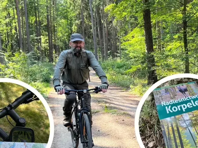 Rowerem przez Nadleśnictwo Korpele. Odkryj urok lasów z perspektywy dwóch kółek