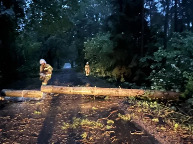 Powalone drzewa, zerwany dach, zalane ulice... Kolejna nawałnica w powiecie (zdjęcia)