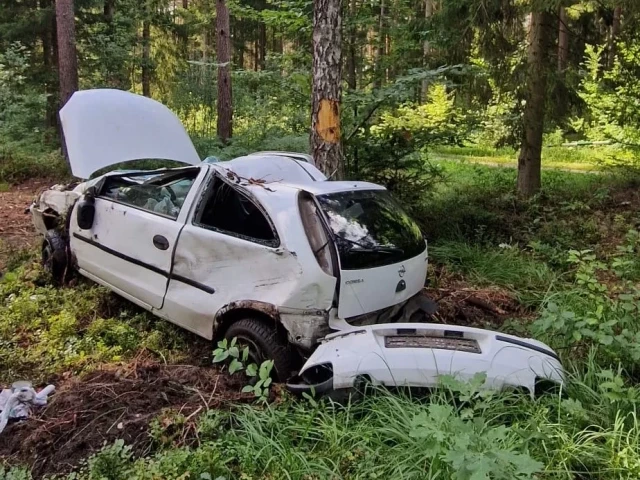 Najpierw drzewo, a potem... promil na alkomacie (zdjęcia)