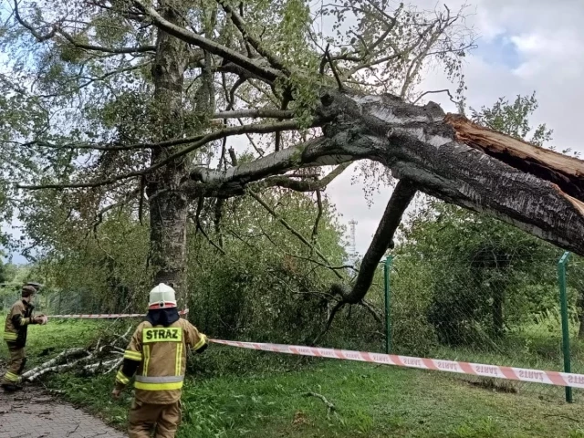Nawałnica spustoszyła powiat szczycieński - strażacy wciąż usuwają skutki żywiołu (zdjęcia)