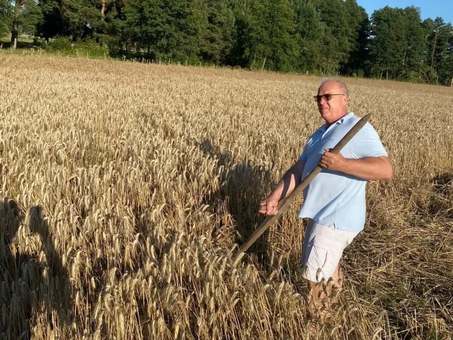 Sygnały czytelników. Ruszyła „produkcja” wieńca dożynkowego w gminie Rozogi