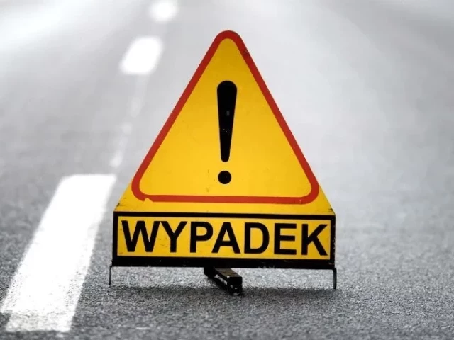 Sarna „wrzuciła” mercedesa do rzeki?
