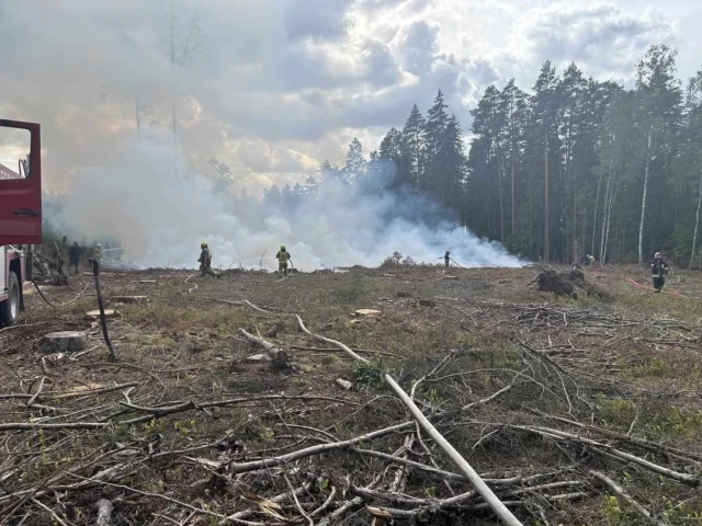 Groźny pożar w Leśnictwie Kokoszka. Sześć zastępów straży i samolot w akcji