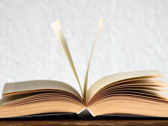 Liryka, epika i dramat – jakie są różnice? Jakie książki reprezentują te rodzaje literackie?