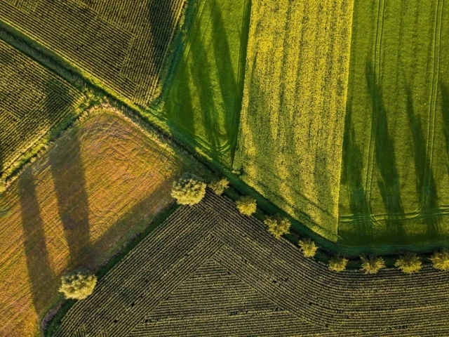 Jak sprawdzić działkę w księdze wieczystej?