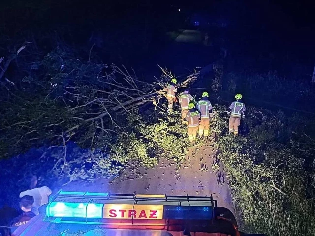Powalone drzewo zablokowało drogę w Maliniaku. Nocna akcja strażaków