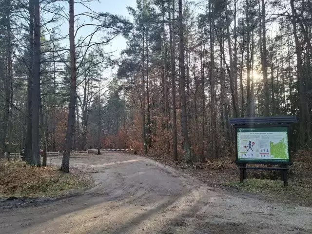 Jesienne promyki w Gizewie. Nadleśnictwo Szczytno zaprasza na spacer i rowerową trasę MTB
