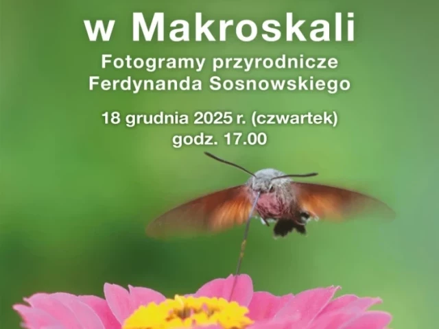 Świat, którego nie widać gołym okiem. Muzeum Mazurskie zaprasza na niezwykłą wystawę