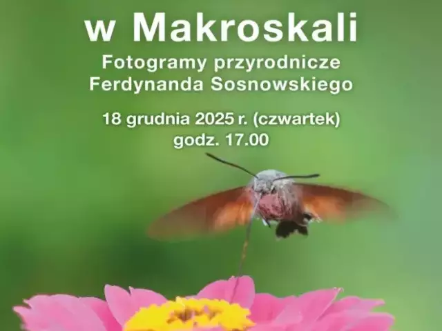 Świat, którego nie widać gołym okiem. Muzeum Mazurskie zaprasza na niezwykłą wystawę