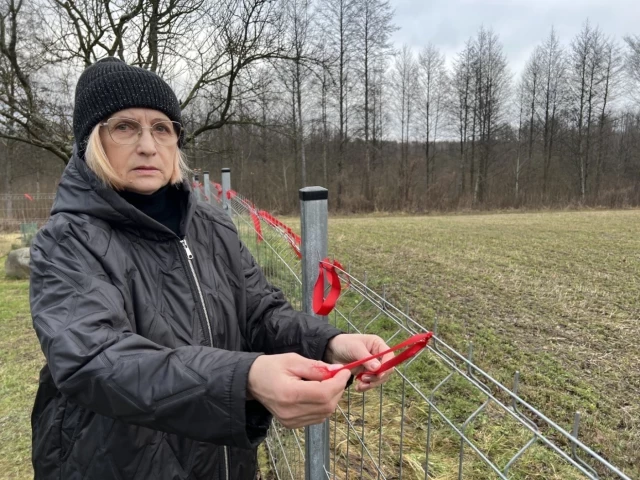 Wilki pod domem. Mieszkanka Pasymia żyje w strachu: „Boję się wyjść nawet po drzewo”