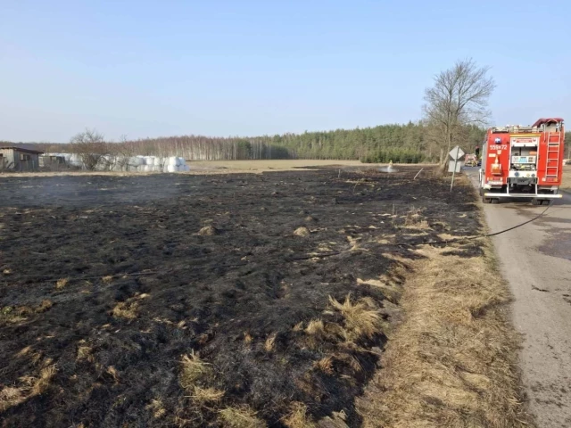 Mundurowi przypominają: wypalanie traw jest niebezpieczne i zabronione