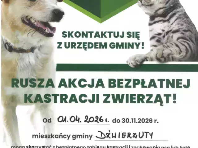 Darmowa kastracja psów i kotów. Gmina Dźwierzuty rusza z akcją – decyduje kolejność zgłoszeń