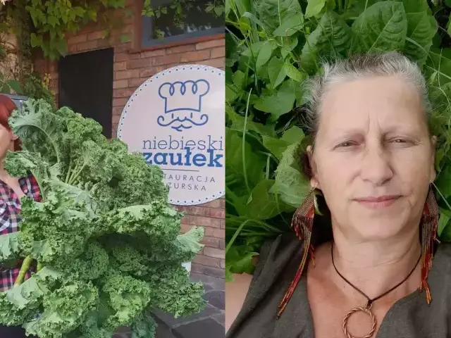 Z pól do kuchni w Szczytnie. Dzika kuchnia, fermentowana gryka i pokrzywa na talerzu