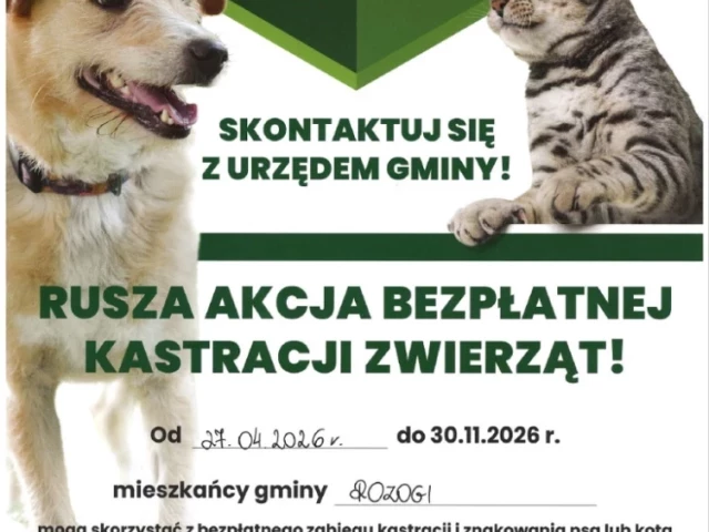 Darmowa kastracja zwierząt w gminie Rozogi. Start już 27 kwietnia