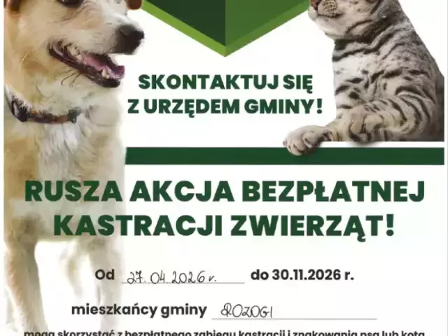Darmowa kastracja zwierząt w gminie Rozogi. Start już 27 kwietnia