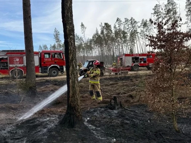 16 hektarów w ogniu. Strażacy ze Szczytna ruszyli do walki z pożarem pod Rucianem-Nidą