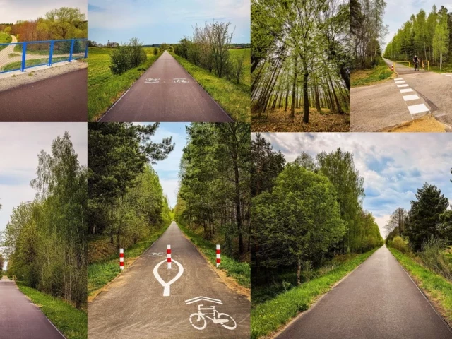 Nowy asfalt i 40 kilometrów przez lasy. Powiat zaprasza na trasę „Rowerem po Kolei”