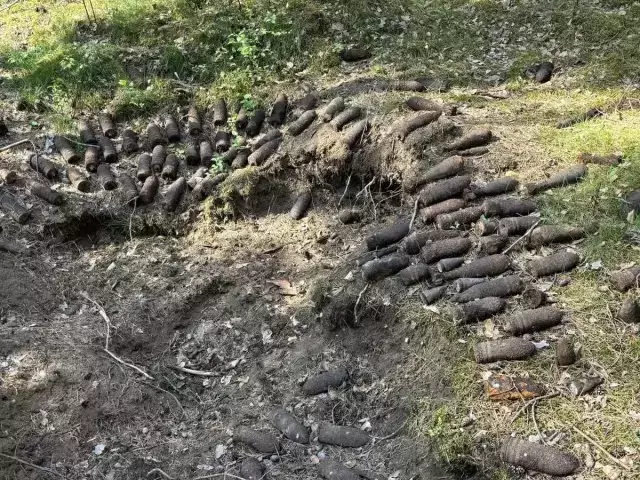 Kilkadziesiąt pocisków z czasów wojny znalezionych w lesie pod Wielbarkiem