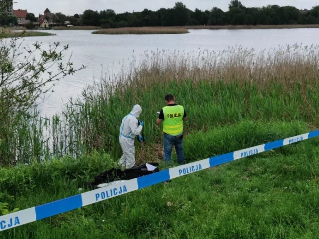 Pies z cegłą przy szyi wyłowiony z jeziora. Okoliczności sprawę bada prokuratura