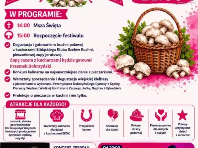 Pieczarki, muzyka i przebrania. Jeruty szykują najbardziej nietypowe święto tego lata